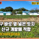 임당공인중개사사무소 이미지