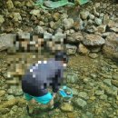 용소산장 | 구례 계곡 물놀이+평상 대여+고기 구워먹기로 너무 즐거웠던 용소산장