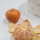 라포르하례 | 서귀포 귤 택배 추천 제주노지감귤 10KG 라포르하례 귤농장