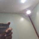 맥스샤인 이미지