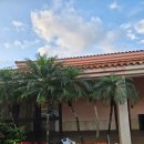 뷰인더 | 3월 미야코지마 골프장, 모든 홀이 오션뷰인 시기라베이cc 그린피, 조경이 너무 이쁜 골프장 후기