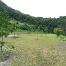 산애 캠핑장 이미지