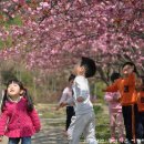 동심어린이집 이미지