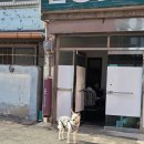 고호대박 | [목포 숙소] 유달 스테이 202호 후기(내돈내산)