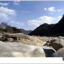 태극농장 이미지