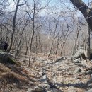 2026.03.14. 백운산(진틀마을~백운산~매봉삼거리~내회마을 8.83km 5h38m)(2)..황산벌산악회.. 이미지