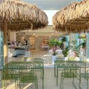 할리베어 이미지