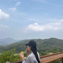 가평 구름산카페 후기, 자연 속에서 한적하게 힐링한 날♥