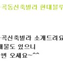 현대5호 이미지