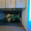 한국관 성인 나이트 이미지