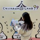 모토랜드프라자 | 구마모토 치이카와 랜드 팝업샵 대란, 봉봉 드롭씰 결국 2개밖에 못 샀어요