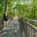 금지순환길 이미지