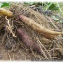 도원석한의원 이미지