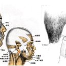 예풍혈TE17 예풍(翳風 2개 혈) : 手.足少陽之會穴. 中風에 의한 耳와 眼疾患의 主治穴. 이미지