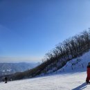 평창 휘닉스파크 이미지