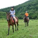 에코승마아카데미 이미지