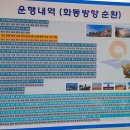 마검포신항(해경옆) | 두무진으로 종결되는 서해 최북단섬 백령도 백패킹 (feat.사곶해변,흰나래길)