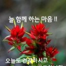 (주)글룩 이미지