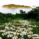 섬띠농장 이미지