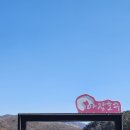 호수제과점 Daum카페
