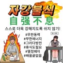 장갈애드 네이버블로그