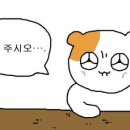 함지주