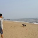 진촌 공중화장실 이미지