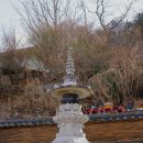 동불사 티스토리