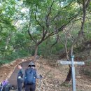 은판나비화장실 이미지