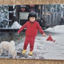 JCC미술관 | 카와시마 코토리 사진전 – 빛과 아이의 세계