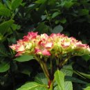 갈맷길3-3구간 이미지