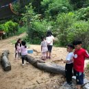 수니유치원 이미지