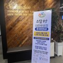 미담소담칼국수 | 대전 봉명동 샤브샤브 월남쌈 소담촌 다녀온 후기