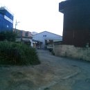 국제농장 이미지