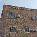 완도대교 호스텔 Daum카페
