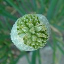 총백한의원 이미지