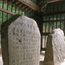 영천 청제비 이미지