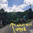 도심다원 이미지