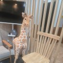 [국비지원][9/26] 사진촬영 및 편집 입문 | 국비지원 내일배움카드로 배우는 블로그 마케팅 후기