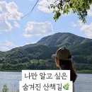 수풀로 삼회리 네이버블로그