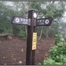 왕산면사무소 이미지