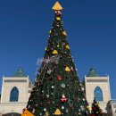 키스임실치즈쌀피자 | 1월 겨울 임실치즈테마파크 피자만들기 체험