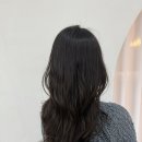 규리헤어라인 이미지