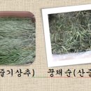 (주)미담채 이미지