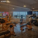 바디플랜 이미지
