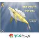 세월호 10주기에 그 날을 기억합니다 이미지