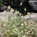 오월호텔 이미지