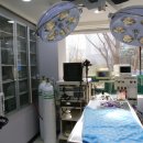 서현동물병원 이미지