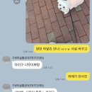 구르미살롱 이미지