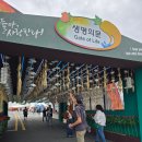 금산고려인삼도매 | 2025 금산 세계인삼축제 기간 기본정보 금산 인삼 도매시장 리뷰